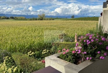 Charmant appartement 3,5 pièces au calme- Meinier