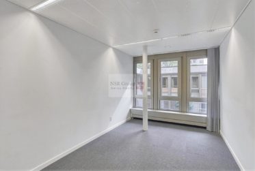 Arcade commerciale de 538 m² + 100 m² de dépôt - Janvier 2027