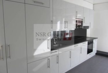 Magnifique appartement à louer – Petit-Saconnex