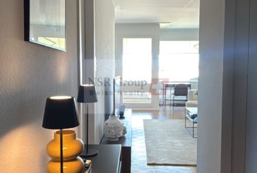 Charmant appartement 3,5 pièces au calme- Meinier