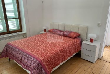 Maison meublée d’exception à louer à Carouge – 297 m² avec jardin et dépendance