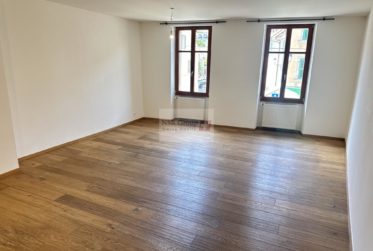 À louer – Superbe appartement de 4 pièces au cœur du Vieux-Carouge