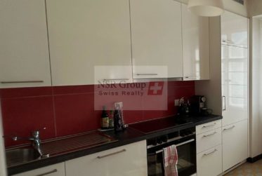 Bel appartement rénové au cœur des Eaux-Vives