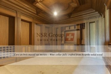 Magnifique villa avec guest house, infinity pool de 25m et terrain de 10'000 m²