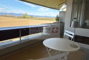 Charmant appartement 3,5 pièces au calme- Meinier