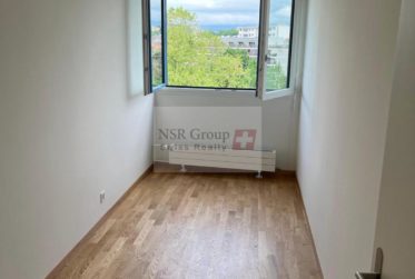 Élégant 5 pièces rénové dans le quartier prisé de Carouge