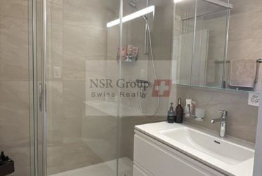 Charmant appartement 3,5 pièces au calme- Meinier