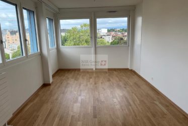 Élégant 5 pièces rénové dans le quartier prisé de Carouge