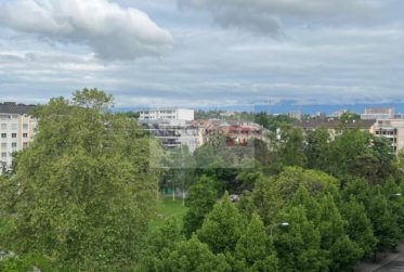 Élégant 5 pièces rénové dans le quartier prisé de Carouge