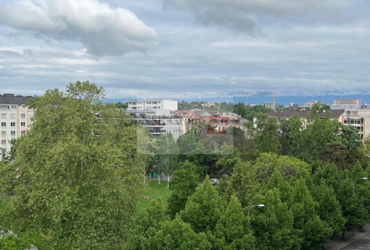 Élégant 5 pièces rénové dans le quartier prisé de Carouge