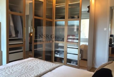 Charmant appartement 3,5 pièces au calme- Meinier