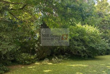 En SI - Studio rénové vendu loué