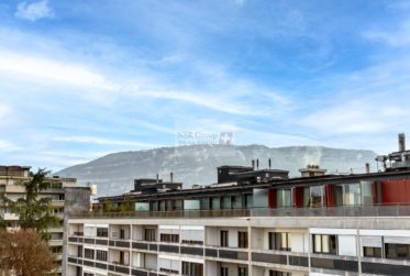 Magnifique appartement en attique en duplex à Malagnou