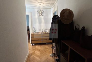 Bel appartement rénové au cœur des Eaux-Vives