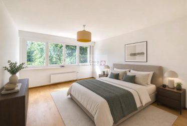 Renovated Apartment in the Heart of Plateau de Frontenex - Colony Park Residence