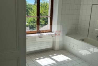 Maison meublée d’exception à louer à Carouge – 297 m² avec jardin et dépendance
