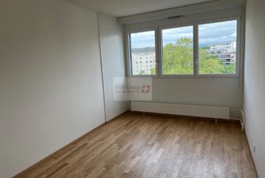 Élégant 5 pièces rénové dans le quartier prisé de Carouge