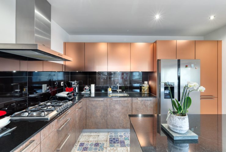 Recent Penthouse Apartment – Bright – Surface Right (DDP)