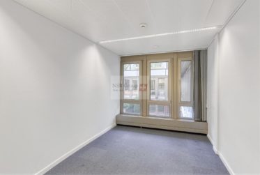 Arcade commerciale de 538 m² + 100 m² de dépôt - Janvier 2027