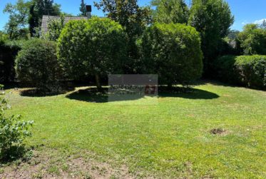 Maison meublée d’exception à louer à Carouge – 297 m² avec jardin et dépendance