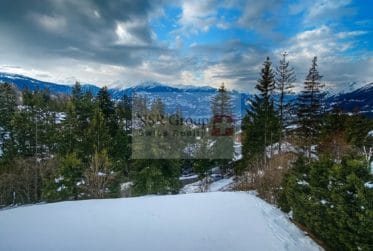 Crans-Montana - Viager occupé