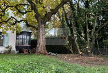 Maison meublée d’exception à louer à Carouge – 297 m² avec jardin et dépendance