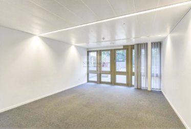 Arcade commerciale de 538 m² + 100 m² de dépôt - Janvier 2027