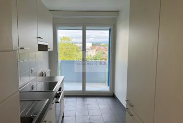 Élégant 5 pièces rénové dans le quartier prisé de Carouge