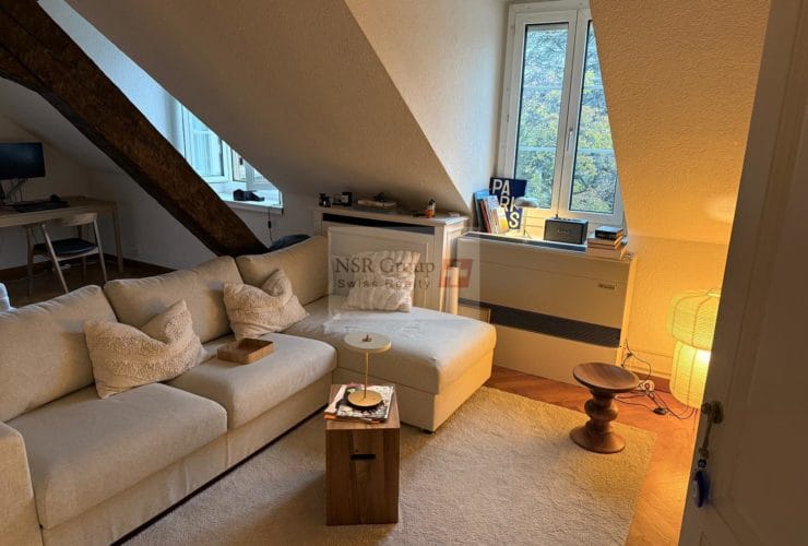 2.5 Rooms Flat, Renovated flat