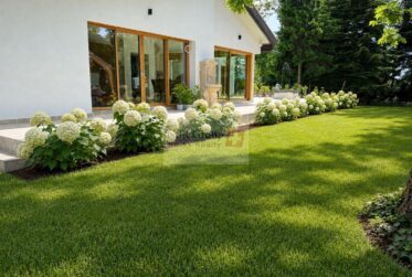 Belle maison de maître à louer – 10 pièces au cœur de Presinge