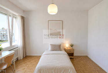 À LOUER – Appartement 4,5 pièces avec balcon à Carouge