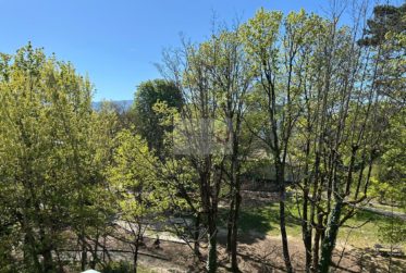 Bel appartement 3,5 pièces avec balcon – Quartier des Eaux-Vives