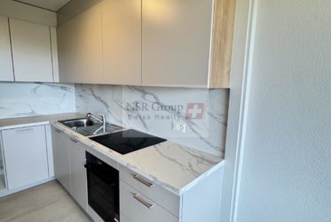 Charmant appartement 3,5 pièces au calme- Meinier