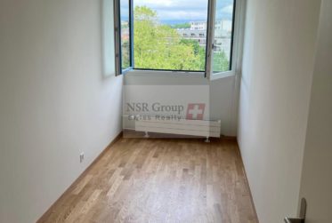 Élégant 5 pièces rénové dans le quartier prisé de Carouge