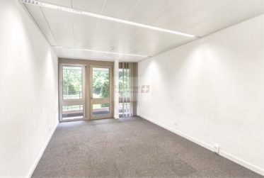 Arcade commerciale de 538 m² + 100 m² de dépôt - Janvier 2027