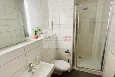 Belle maison familiale avec grand jardin à Veyrier