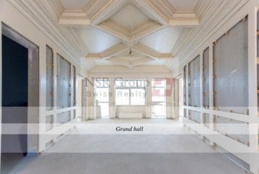 Magnifique villa avec guest house, infinity pool de 25m et terrain de 10'000 m²